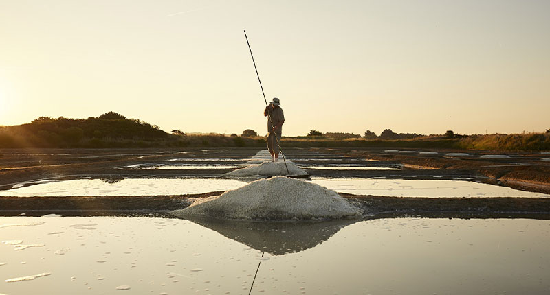 Les marais salants