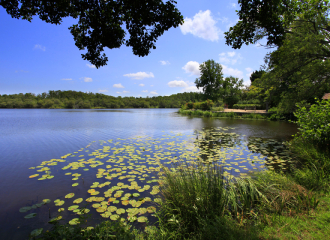 Le lac d’Aureilhan