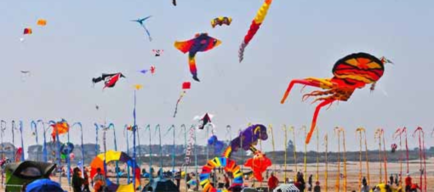 Festival cerf volant