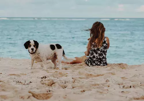 Profiter du calme de la méditerranée avec son chien au alentour du camping Siblu Le Mar Estang