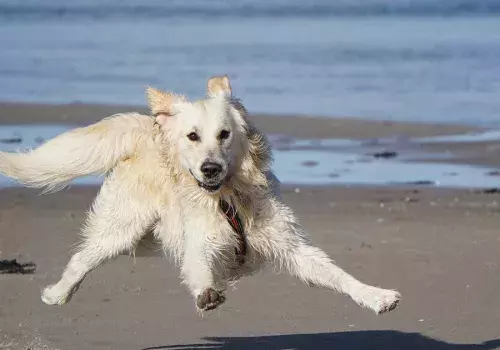 Trop chouette les balades à la méditerranée au alentour du camping Siblu Le Mar Estang