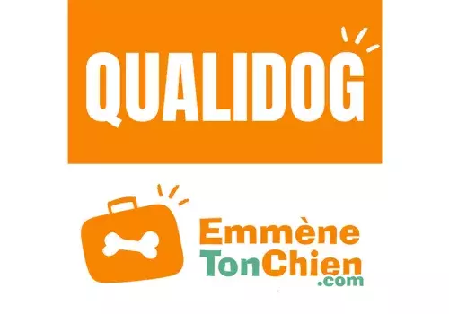 Quali-dog