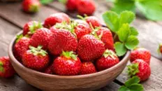 La fraise du lyonnais