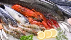 Poissons frais