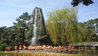 La visite du zoo de la Palmyre