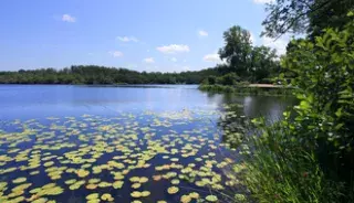 tourisme landes mimizan