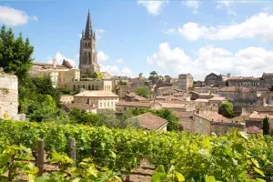 Les vignobles de Saint-Émilion