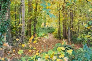 tourisme gironde balade