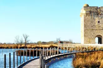Que faire en Camargue