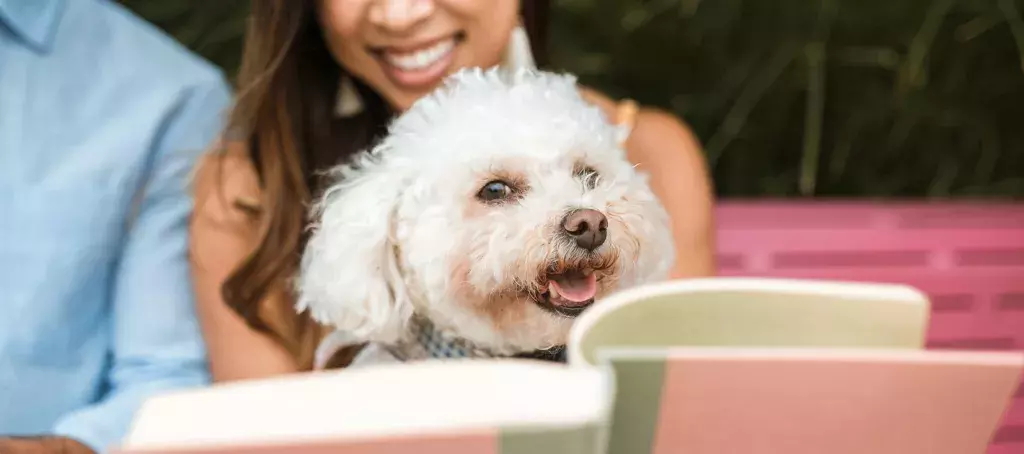 Le plaisir de passer ses journées au camping Siblu Le Marisol avec son chien