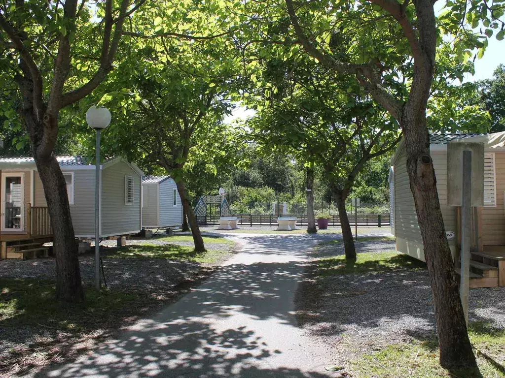 Les magnifiques mobilhomes du camping Siblu Villages La Pointe 2