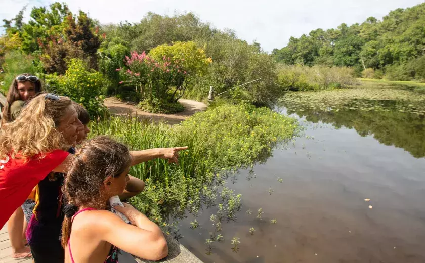 Les parfaites activités à faire en famille au camping Siblu Village Le Lac à Mimizan 2