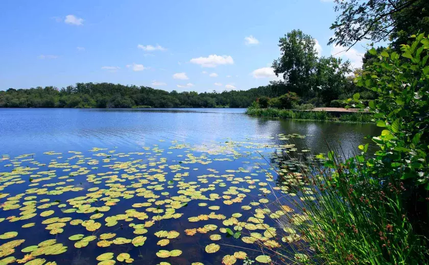 Les parfaites activités à faire en famille au camping Siblu Village Le Lac à Mimizan 3