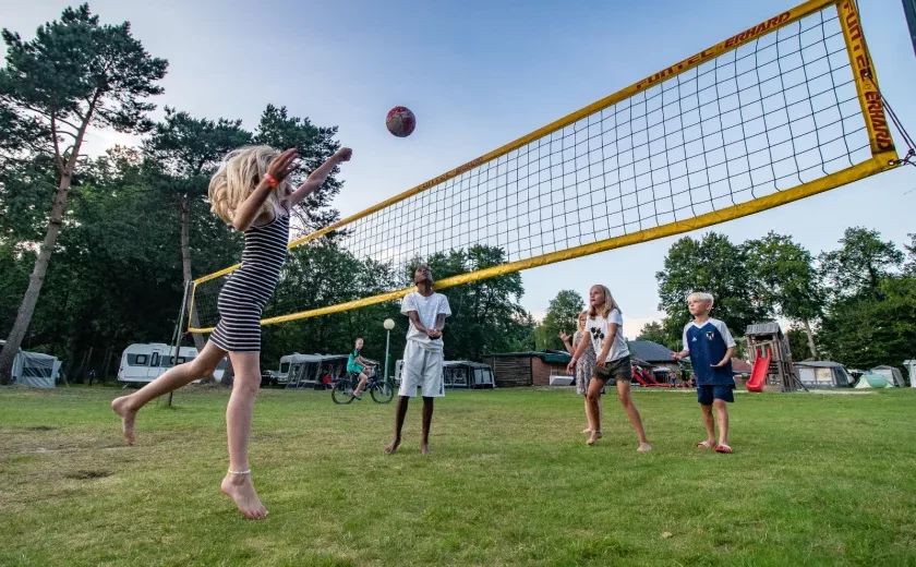 Volleyball-NT